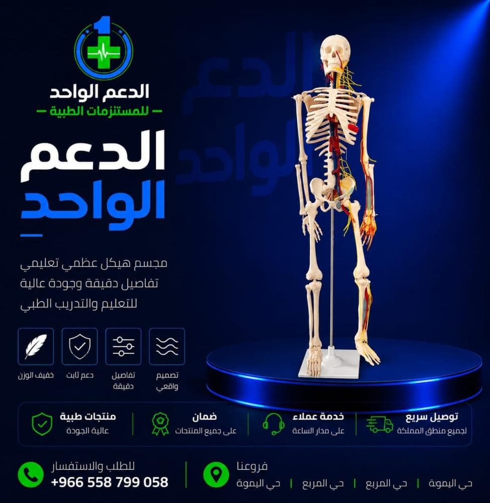 مجسم هيكل عظمي بشري 170 سم