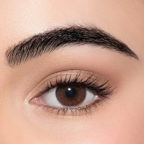 Lens Me Colored Lenses Date